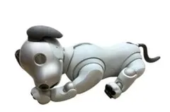 【専用】SONY aibo ERS-1000 aibo 本体 ロボット犬のサムネイル