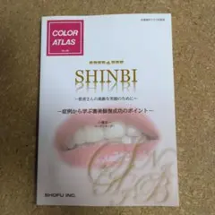 【超美品】COLOR ATLAS No.38 SHINBI