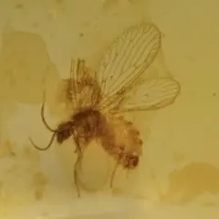 mumu様 リクエスト 4点 まとめ商品