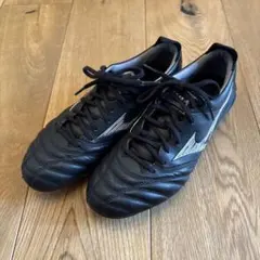 2025年最新】モレリアネオ4 シルバーの人気アイテム - メルカリ