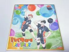 ハイキュー!! ファンパーク ミニ色紙 入場特典
