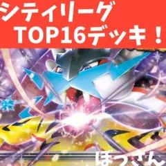 【構築済】タケルライコex 2行　シティリーグ TOP16デッキ　アンフェア無