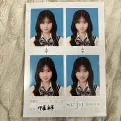 伊藤彩華 seju 証明写真 - メルカリ