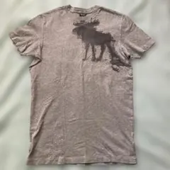 アバクロ　グレーTシャツ(M)