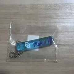 中日ドラゴンズ 柳裕也 ガチャガチャ アクリルキーホルダー ミニスティックBC