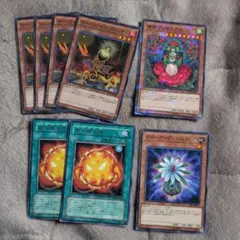 遊戯王　ローンファイア・ブロッサム　超栄養太陽　グローアップバルブ　ティタニアル