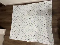 Item thumbnail for item 2c35794e-5dc0-45e6-bf45-5beb5ac7be58