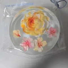 Dodomi studio スクイーズ