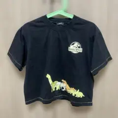 green label relaxing ジュラシックワールド Tシャツのサムネイル