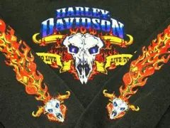 超希少】00s~vintage Harley-Davidson スカルフレイム - メルカリ