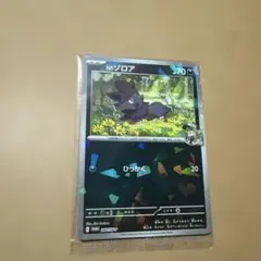 Nのゾロア：コレクションファイルセット PROMO SV-Pプロモカード 20…