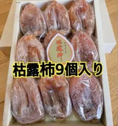 Item thumbnail for item f860d296-79e2-48b5-8a89-a74b63996421