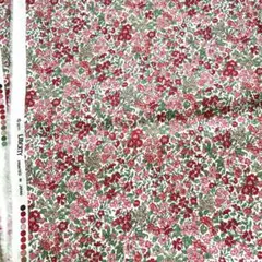 Item thumbnail for item d33ec0cf-2395-42e1-a82a-2cbee9675419