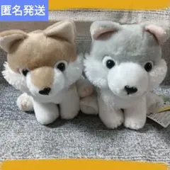 2025年最新】もふっとオオカミの人気アイテム - メルカリ