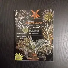 アガベ・アロエ・ソテツ名品図録 : 珍奇美葉植物Bizarre Leaves