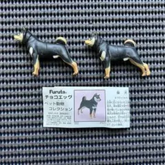 チョコエッグ　ペット動物１　■柴犬(ブラック＆タン) 　2個／海洋堂　フルタ　Q