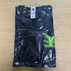 rize ミュージシャン