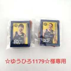 宇都宮ブレックス　2025-26選手ミニチュアアートイーゼル