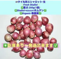 2026年最新】エシャロット種の人気アイテム - メルカリ