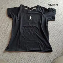 レピピ160センチTシャツ