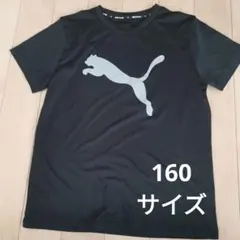 PUMA ブラック Tシャツ 160サイズのサムネイル