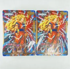 DBFW FS11 進化の境地 2個セット