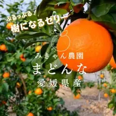 10最終収穫✨愛媛県西宇和産　プルプルまどんな　減農薬4キロ　サイズMix