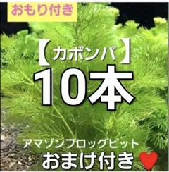 池田友美子様 リクエスト 2点 まとめ商品
