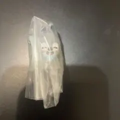 スキズ ガチャ めじるしアクセサリー SKZOO ウルフチャン　バンチャン