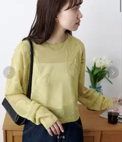 DISCOAT 線柄プルオーバー　春