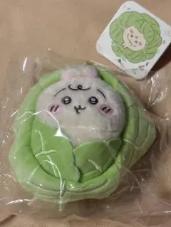 Item thumbnail for item cd60e82b-9743-4c4e-9957-c4df32a25525