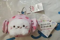 しろたん おやつ くじ キャンディたん ぬいぐるみ キーホルダー パイン