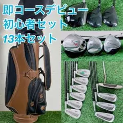 キャロウェイ ゴルフクラブ セット レディース 初心者 即デビュー D3729 キャロウェイ ゴルフクラブ セット レディース 初心者 即デビュー