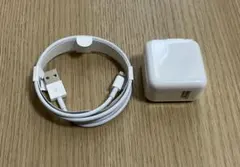 ライトニングケーブル1mと10wアダプタアップル純正充電器正規品iPhone