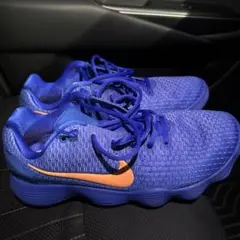 Nike バスケットボールシューズ 青　ハイパーダンク2017low