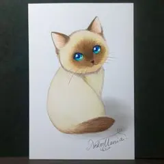 3513 【原画】手描き アナログイラスト 猫ちゃん