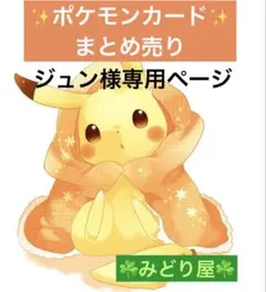 ジュン様 リクエスト 4点 まとめ商品