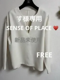 新品未使用✨タグ付き　SENSE OF PLACE❤️アイボリー Vネックトップス