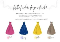 ドレス色当てクイズ/色当てクイズ/カラードレス/ドレス当てクイズ