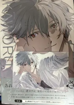 KAWORU INFINITY∞ 渚カヲル写真集2 ゲーマーズ ポストカード付き