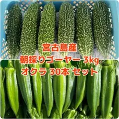 宮古島産 ゴーヤー 8kg 朝採り 宮古島産 朝採り ゴーヤー 3kg - メルカリ