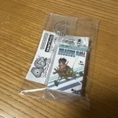 Item thumbnail for item b2c80c58-d2f5-42cd-9b1c-f4d544b395ec