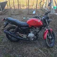 【佐賀発】YAMAHA YBR125 本体