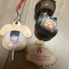 パピーム、３個セット