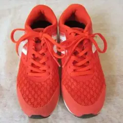 Item thumbnail for item 65747970-5711-4b84-b4cc-baf23815fcb1