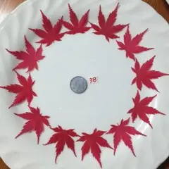もみじ38 押し花 着色 ドライフラワー レジン ハーバリウム 花材12