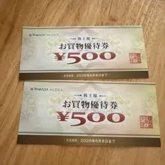 ヤマダホールディングス お買物優待券 500円 2枚セット