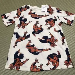 Item thumbnail for item 05c917b1-4c65-4fd9-8bdc-794c38371683