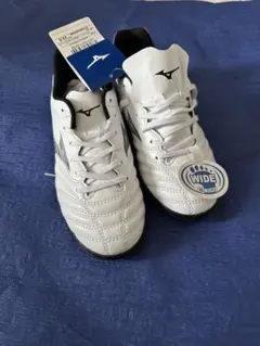 Item thumbnail for item 1b50ce0c-587b-400c-981b-a0c531a120e0