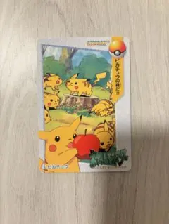 ポケモン　カードダス　ピカチュウの森だ